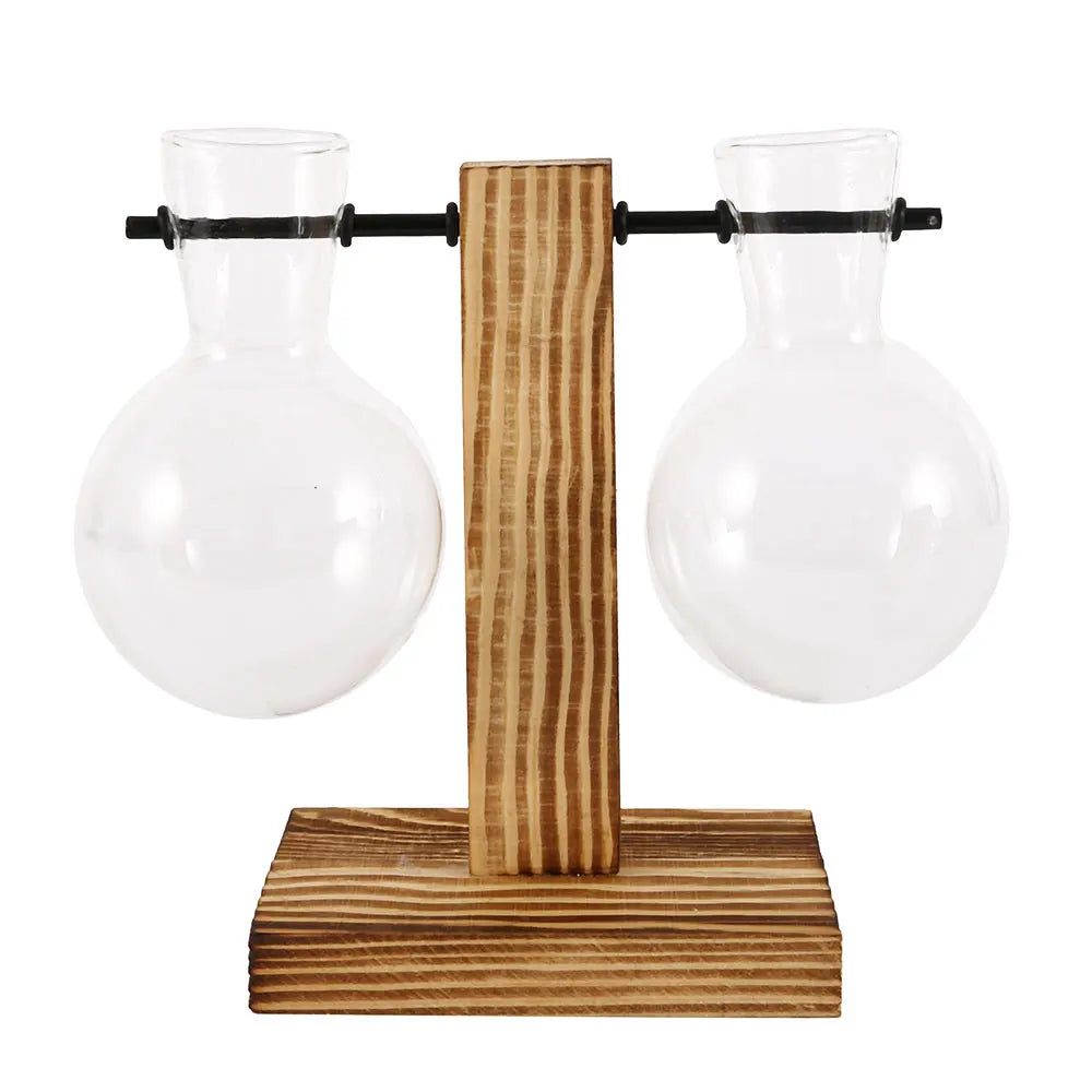 Creative Glass Plant Terrarium Bulb Vase with Wooden Stand – Desktop Hydroponic Home Decor