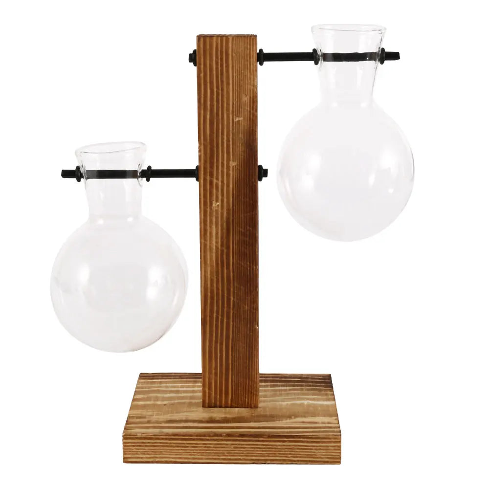 Creative Glass Plant Terrarium Bulb Vase with Wooden Stand – Desktop Hydroponic Home Decor