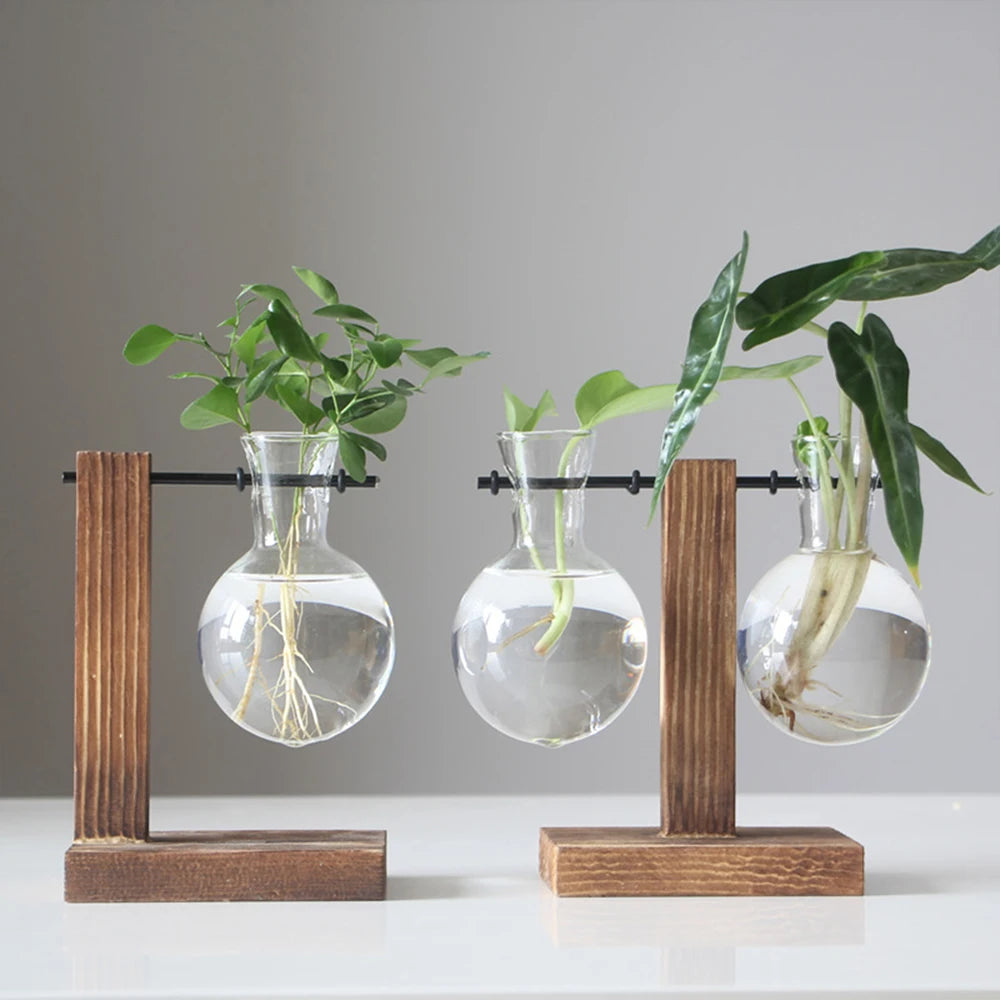 Creative Glass Plant Terrarium Bulb Vase with Wooden Stand – Desktop Hydroponic Home Decor