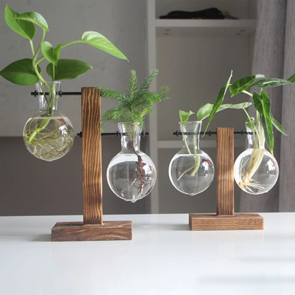 Creative Glass Plant Terrarium Bulb Vase with Wooden Stand – Desktop Hydroponic Home Decor