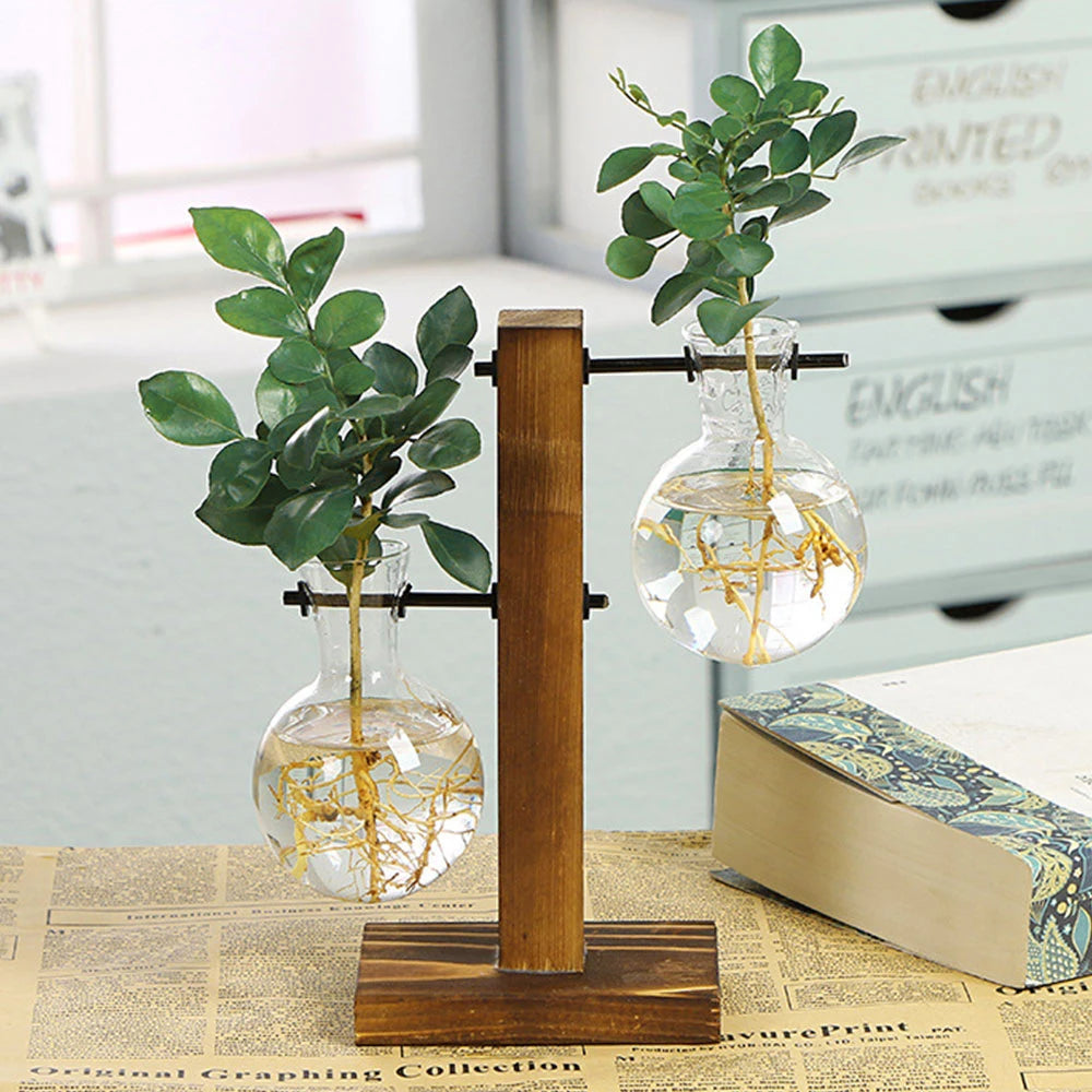 Creative Glass Plant Terrarium Bulb Vase with Wooden Stand – Desktop Hydroponic Home Decor