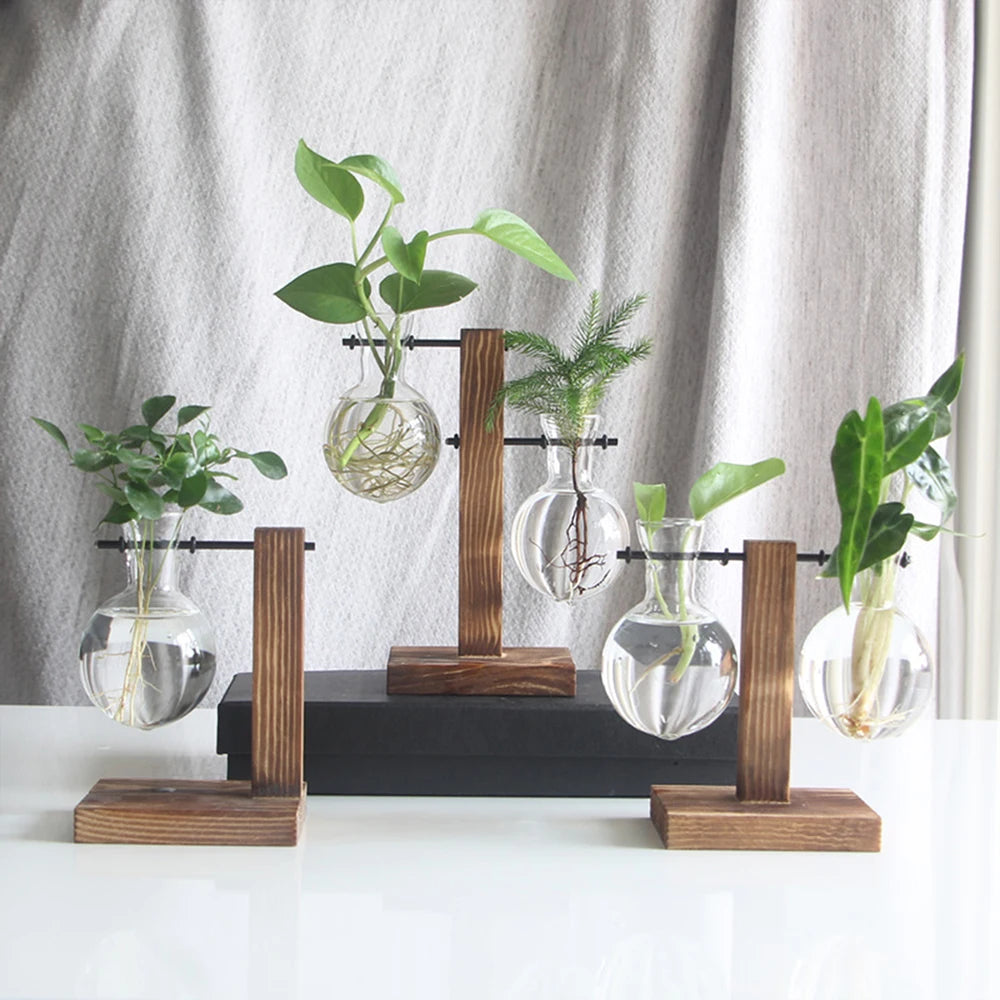 Creative Glass Plant Terrarium Bulb Vase with Wooden Stand – Desktop Hydroponic Home Decor