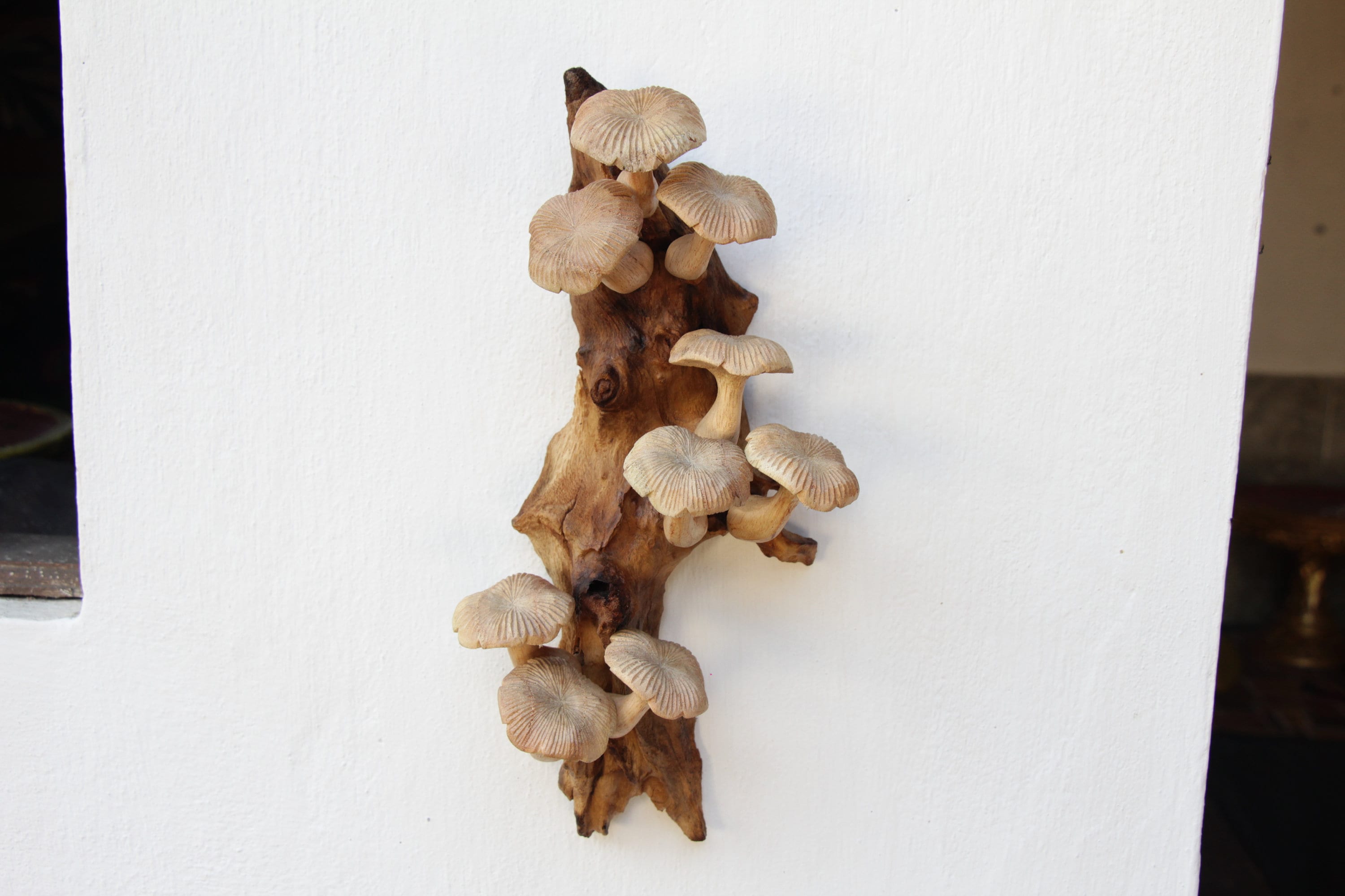 Hand-Carved Wooden Mushroom Wall Art – Rustic Driftwood Cottagecore Nature Decor
