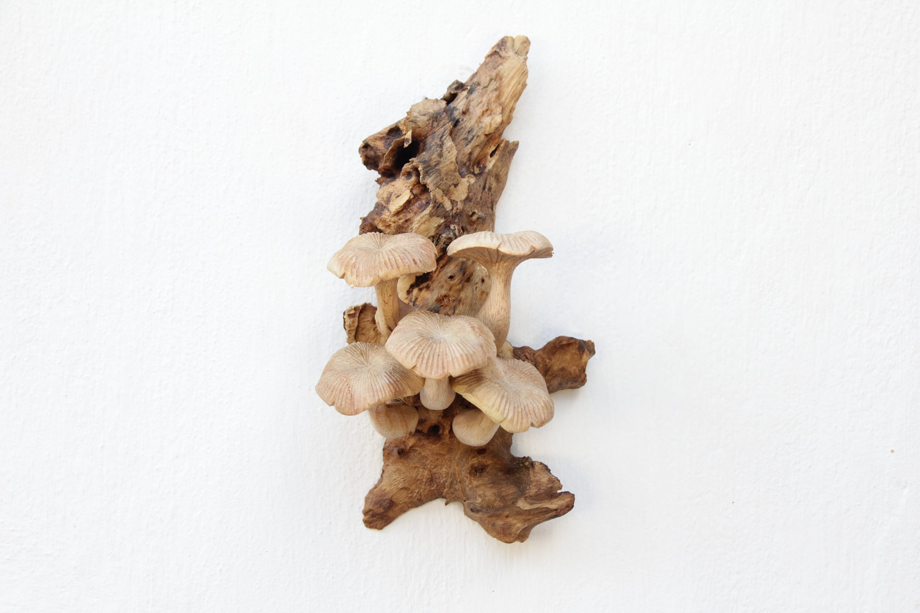 Hand-Carved Wooden Mushroom Wall Art – Rustic Driftwood Cottagecore Nature Decor